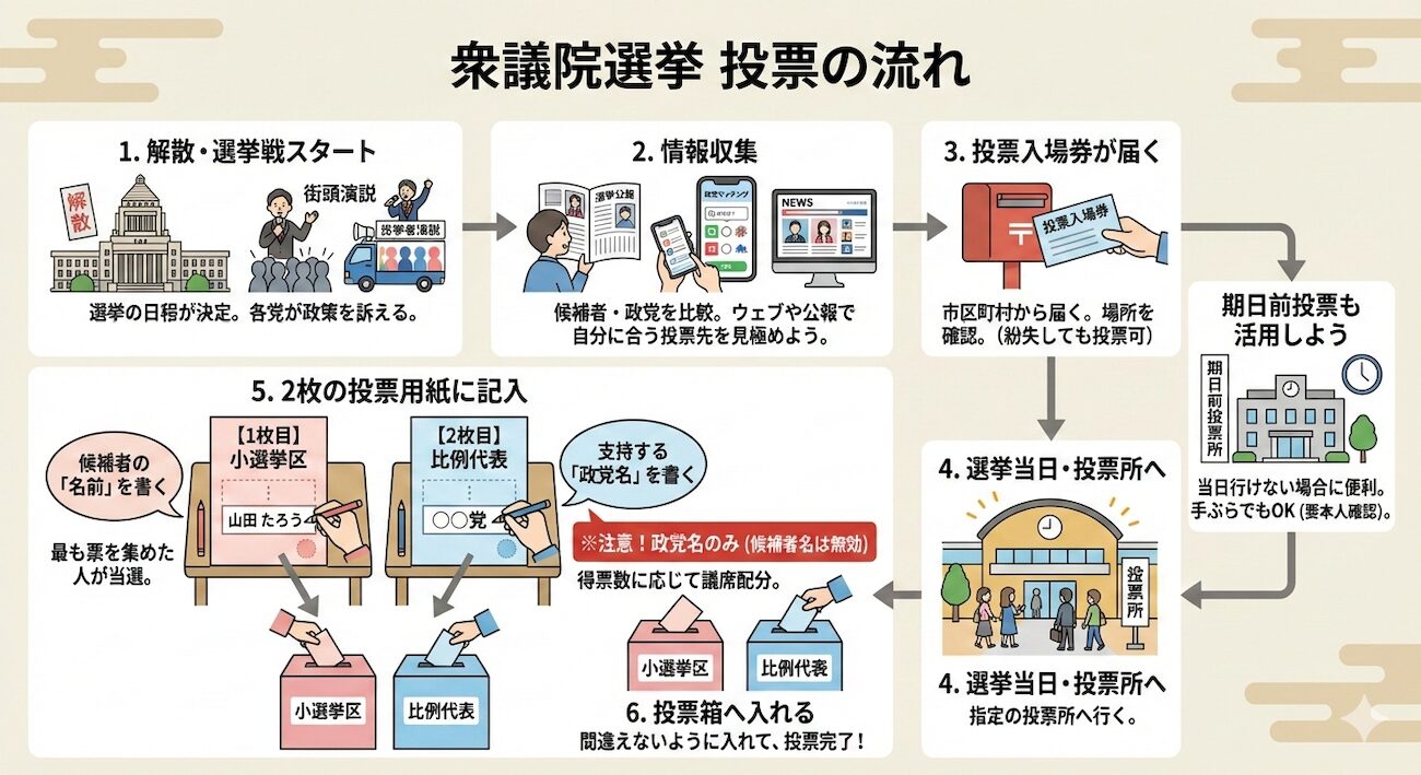 衆議院選挙：投票の流れ